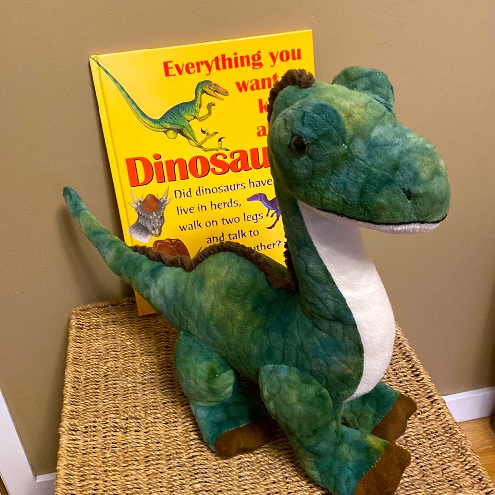 Dinosaur Plush and Book Bundle